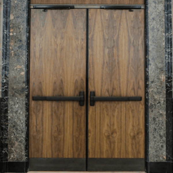 Acoustic Wood Raised Panel Door & Steel Frame
